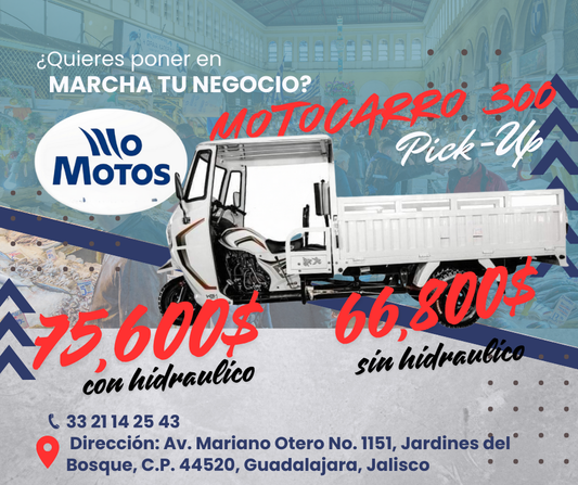 MOTOCARRO 300CC